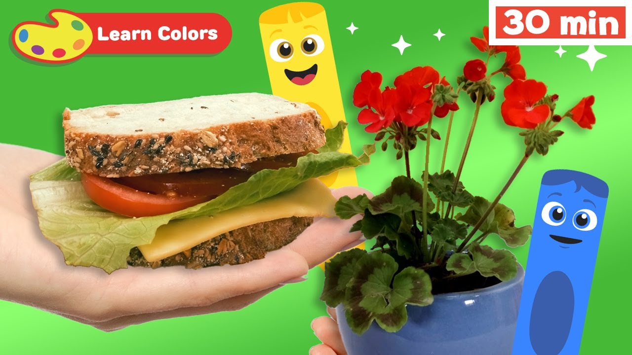 Color Crew Magic | Educational Video | Sandwich | Flower Plant & More | Learn Colors | How to Draw