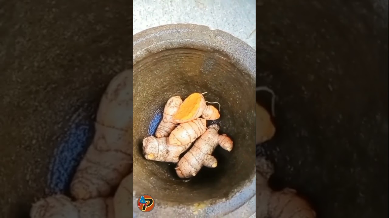 Jamu Kuteja, Rahasia Peternak Senior untuk Ayam Tangguh dan Tahan Penyakit