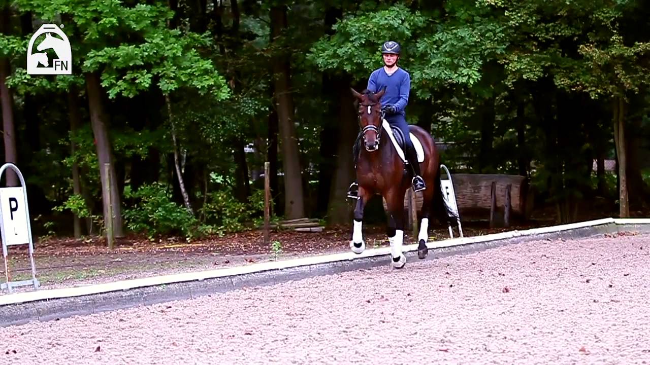 Reitabzeichen 1