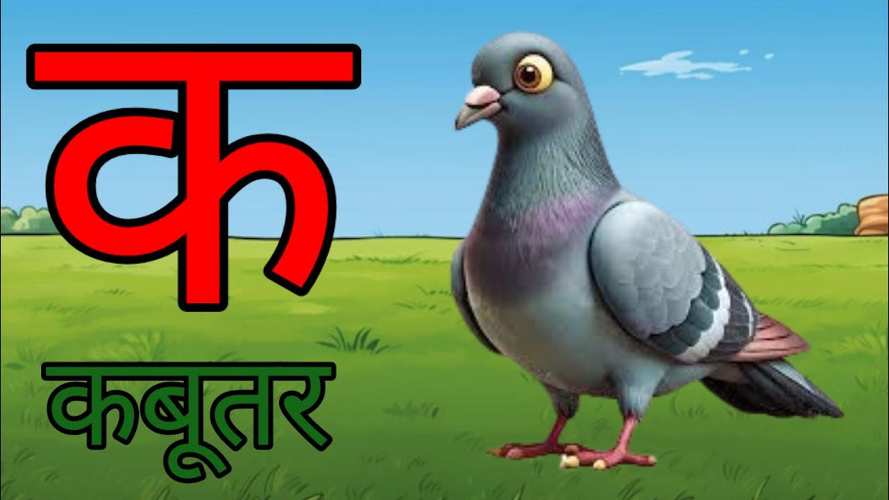 कखग, क से कबूतर,ख से खरगोश, हिन्दी स्वर व्यंजन,a se anar, aa se aam, hindi varnmala for kids
