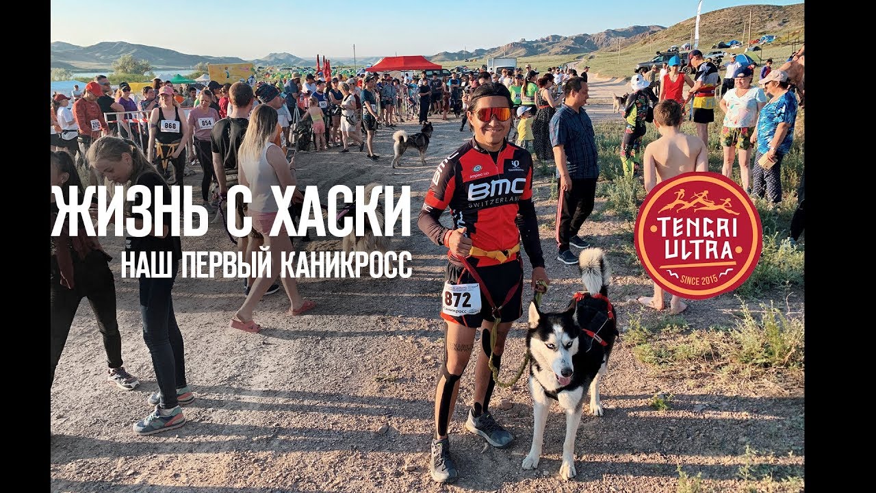 Что такое каникросс? Наш первые соревнования и сразу призовое место!