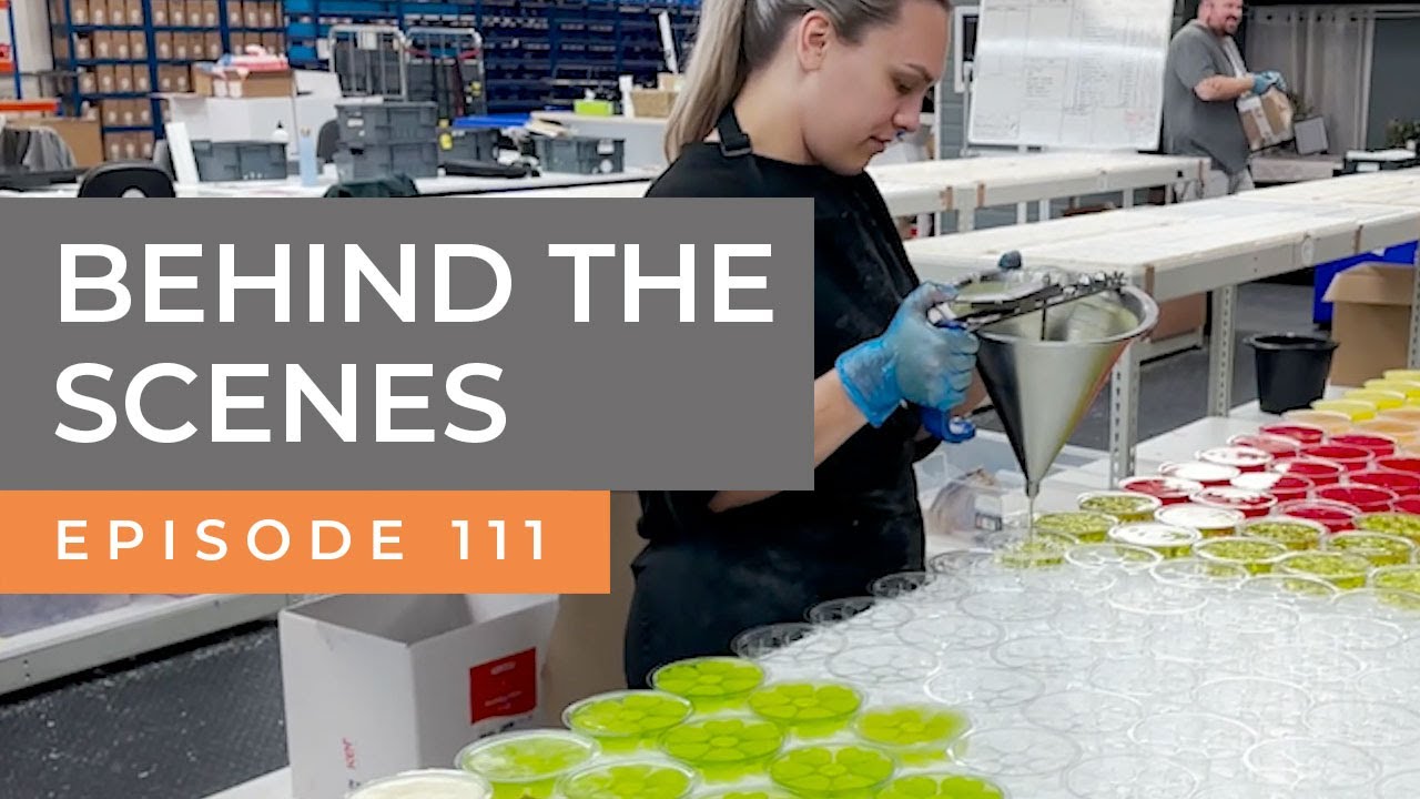 How We're Growing Our Wax Melt Business - Ep111