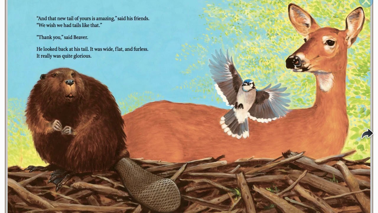The Legend of the Beaver's Tail  | Literacy Lab Read Aloud