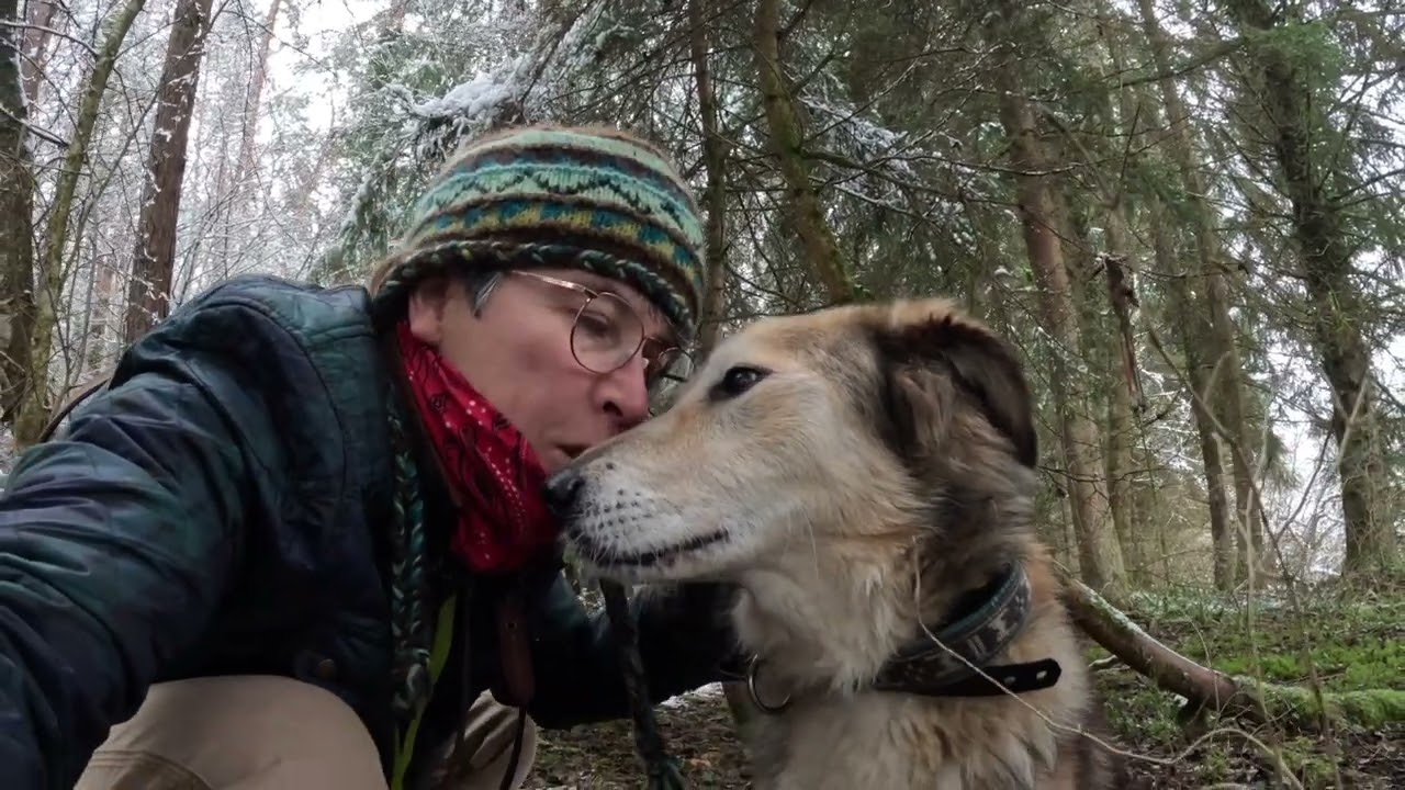 Donnez-moi un chien...