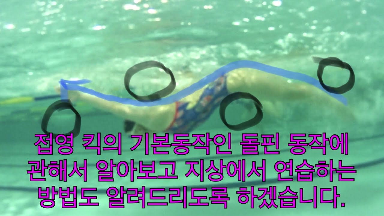접영 킥의 돌핀 동작을 자세히 살펴봅시다.