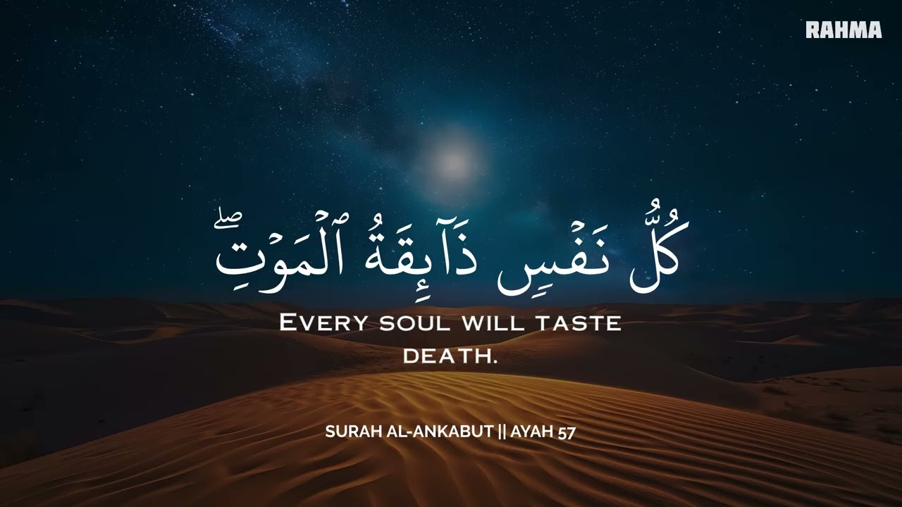 ساعة كاملة🕛🎧 | تلاوة تقشعر لها الأبدان بصوت محمد هشام | Reciter Mohamed Hesham | 💙🎧