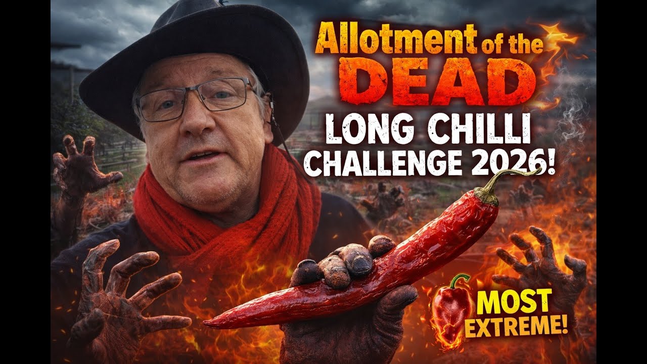 AOTD Chilli Challenge 2026 #AOTDLCC26 #AOTDJOES26