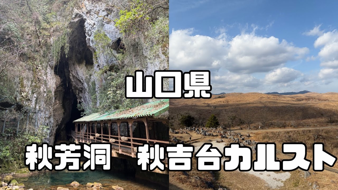 山口県 秋吉台カルスト&秋芳洞探検❣️
