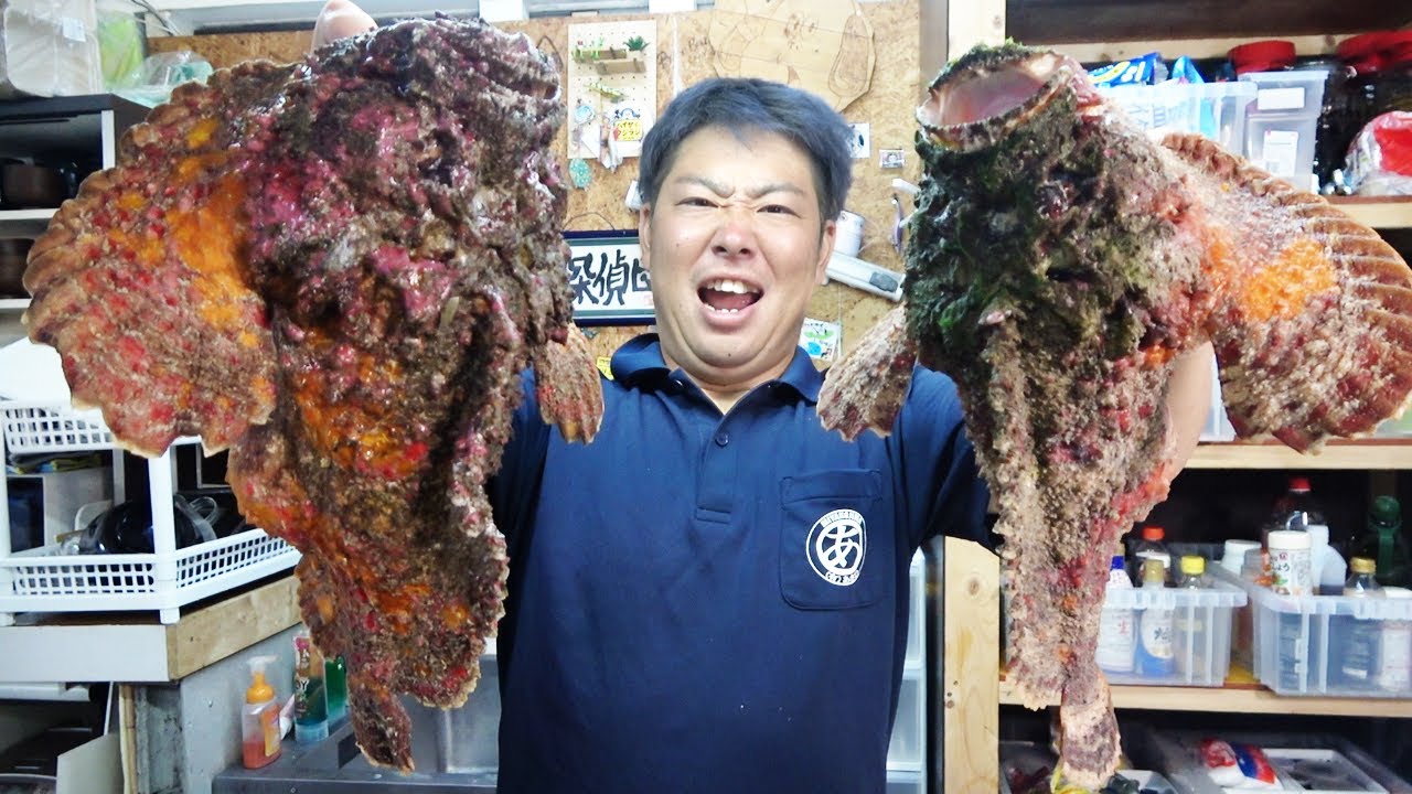 【超危険】最強猛毒魚を捌いて食べてみた！！