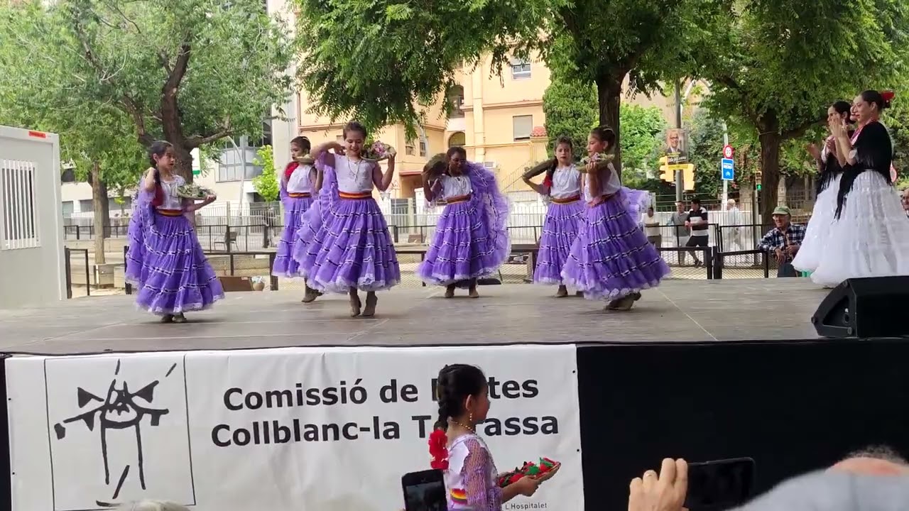 Danza Paraguayas   Elenco de Danza Vya Paraguay Niñas
