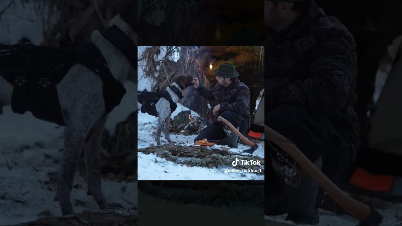 Surviving under a fallen tree at -21&bull;C in the middle of a forest #viral #nature #mountains #survival