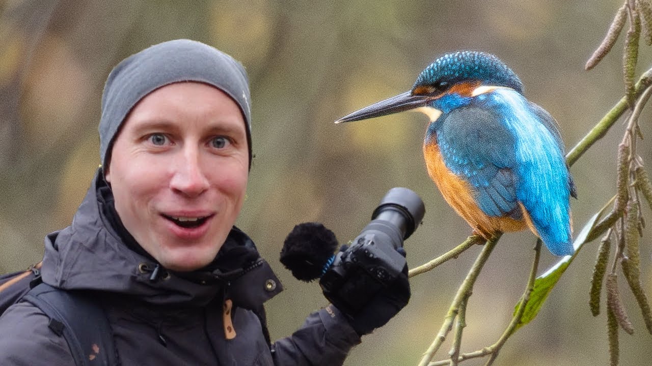 EISVOGEL-Annäherung nach achtkantigem RAUSSCHMISS!