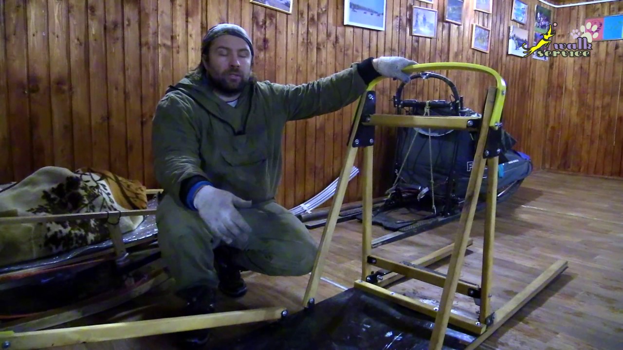 Собачьи нарты