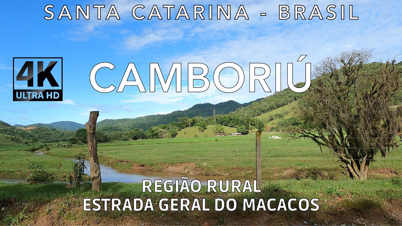 Camboriú   Dirigindo pelo interior do município - Estrada do Macacos
