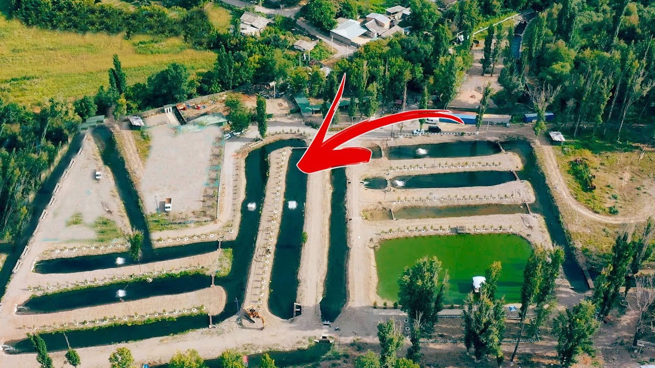 Mindenki nevetett, amikor úgy döntött, hogy lazacot tenyészt az udvara közepén