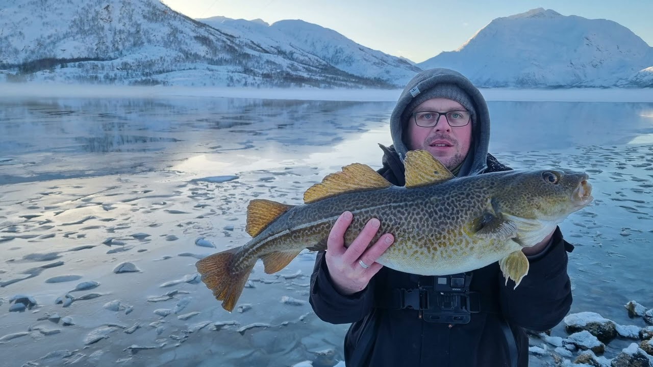 Spinning i lód na fiordzie/w końcu ryby‼️czarniak na przynęte