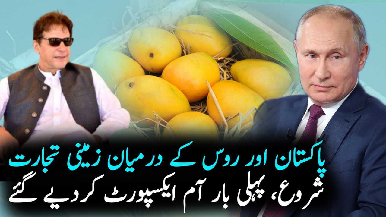 Pakistan Mango Exports to Russia | Pakistan Economy NEWS