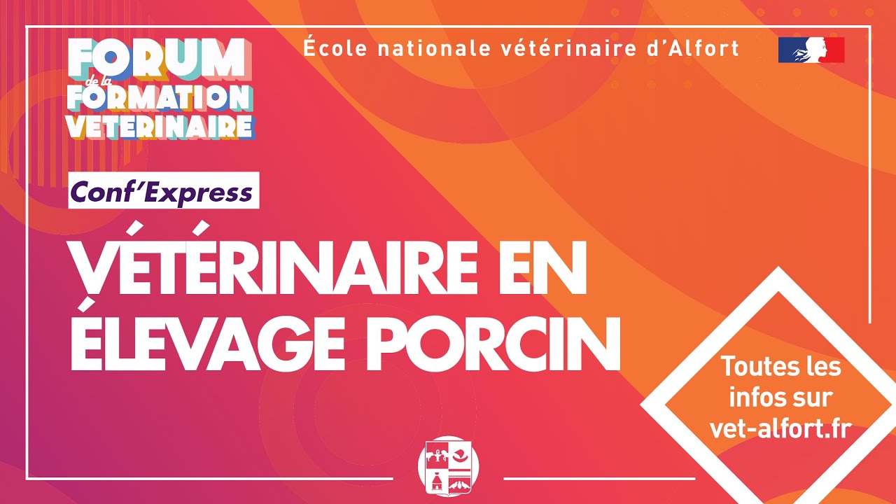 FFVET21 Conf' express - Vétérinaire filière porcine