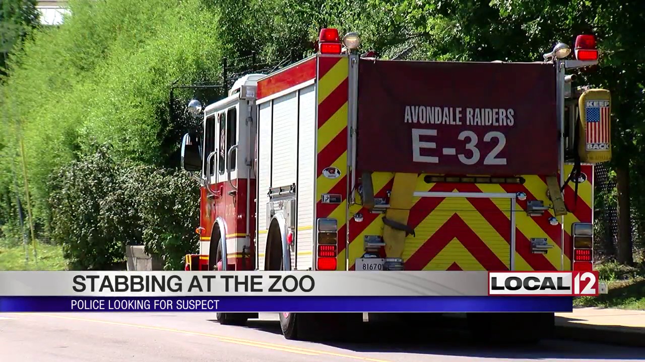 Man's throat slashed at Cincinnati Zoo