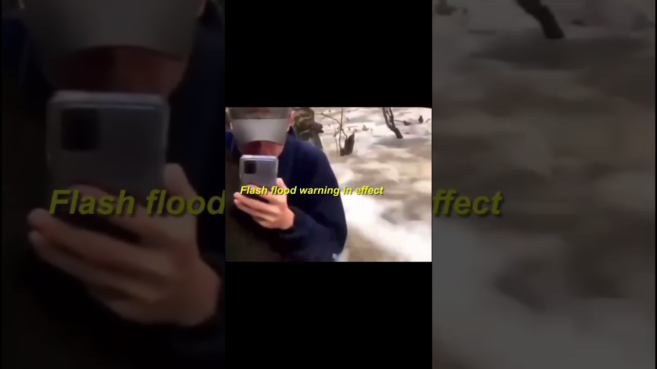 What Flash Flood? #memes #gaming #funny #shorts #fyp #memesdaily #nature #funnyshorts #meme
