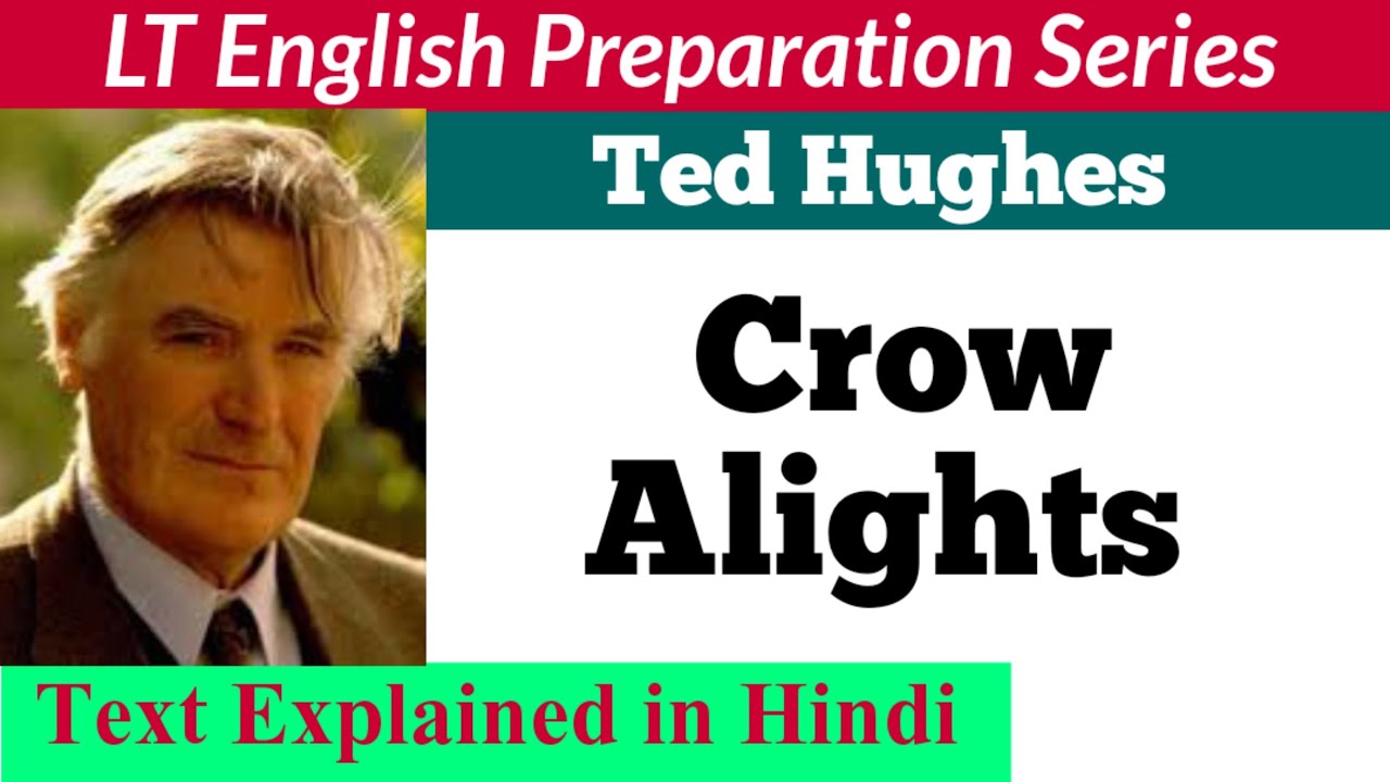 Crow Alights by Ted Hughes in Hindi || Crow Alights Hindi Explanation || LT English ||