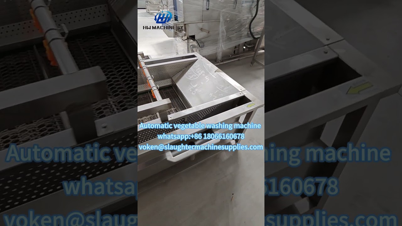 Automatic Vegetable Wash Machine