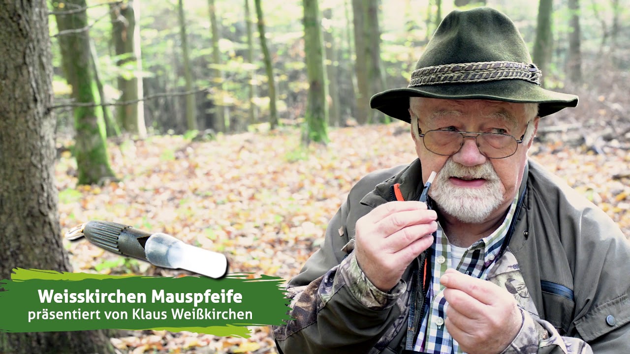 Weisskirchen Mauspfeife