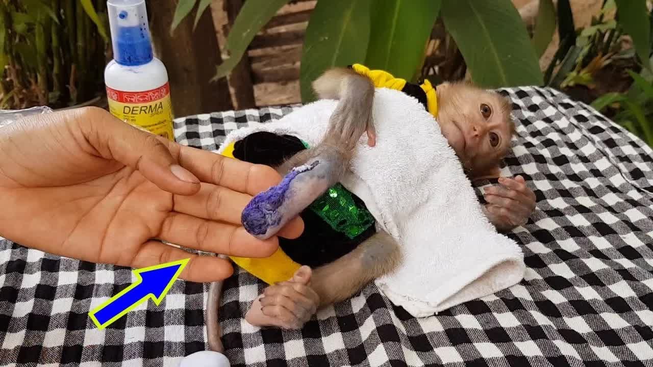 Mom Gently Checking & Movement Wound's Foot Koko