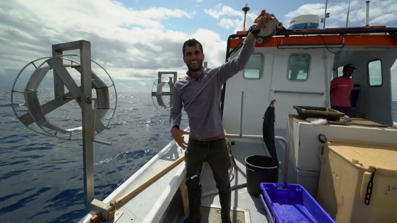 Entre o Mar e a Terra: De segunda a sábado a partir de 24 de julho na RTP1