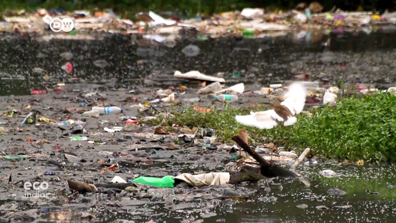Eco India Shorts: How food delivery companies are trying to turn the tide on plastic waste