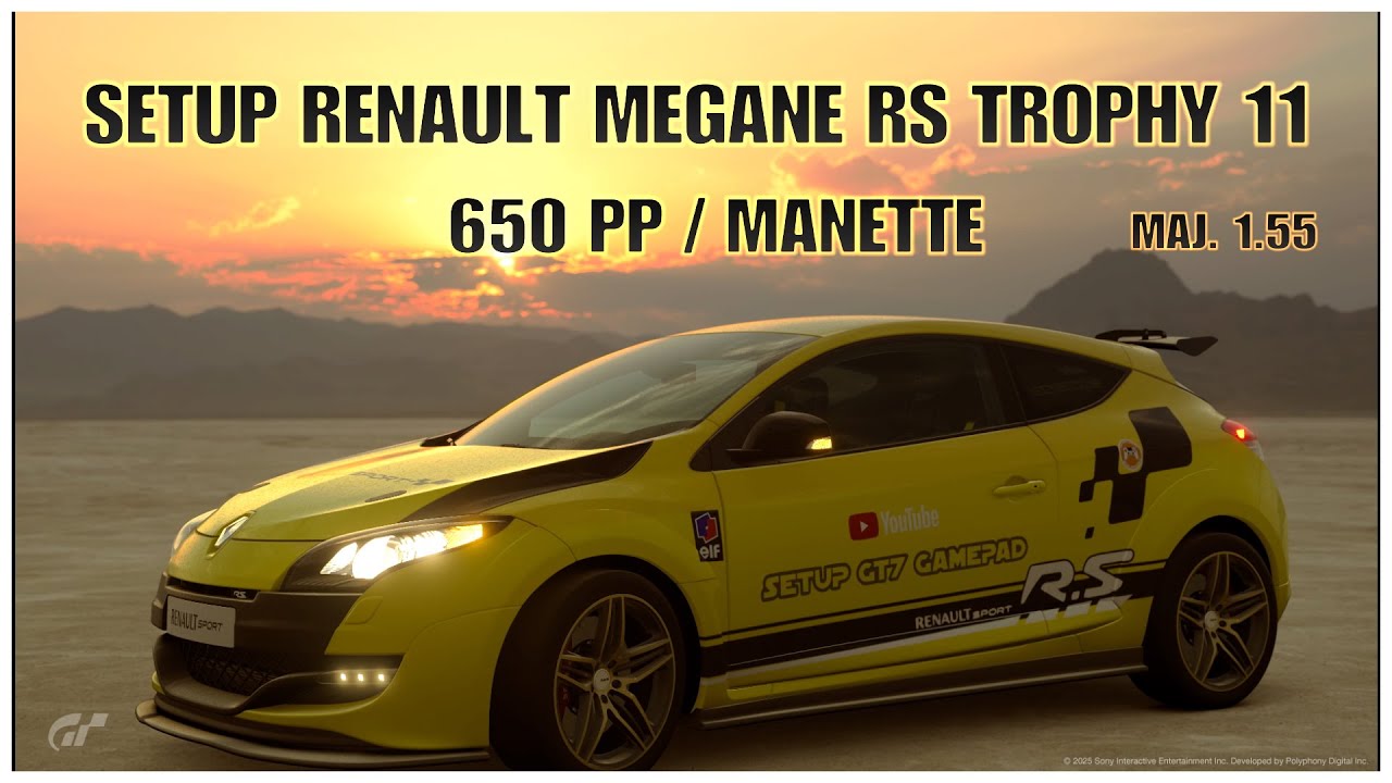 SETUP RENAULT MEGANE RS TROPHY 11 / 650 PP / MANETTE