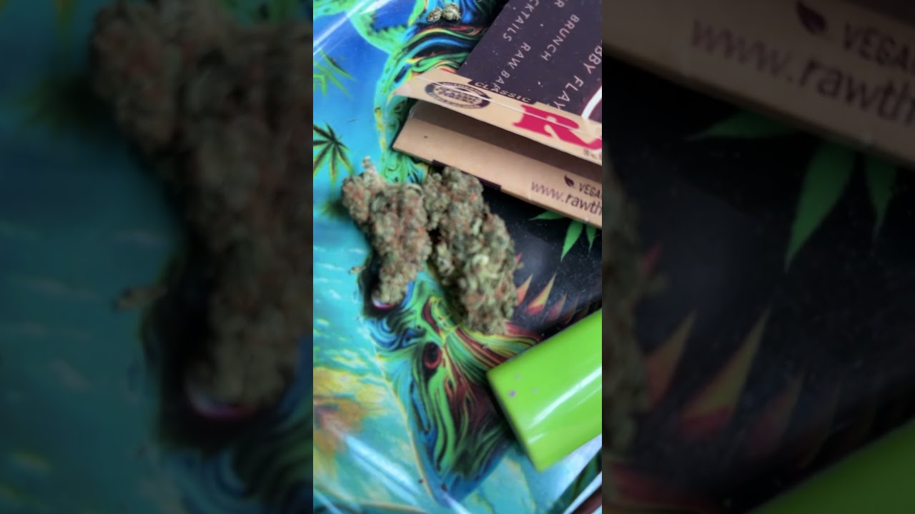 Kitty&rsquo;s and cannabis #GMO #cannabiscommunity #cannabiseducation #michigancannabis #tonydreads419
