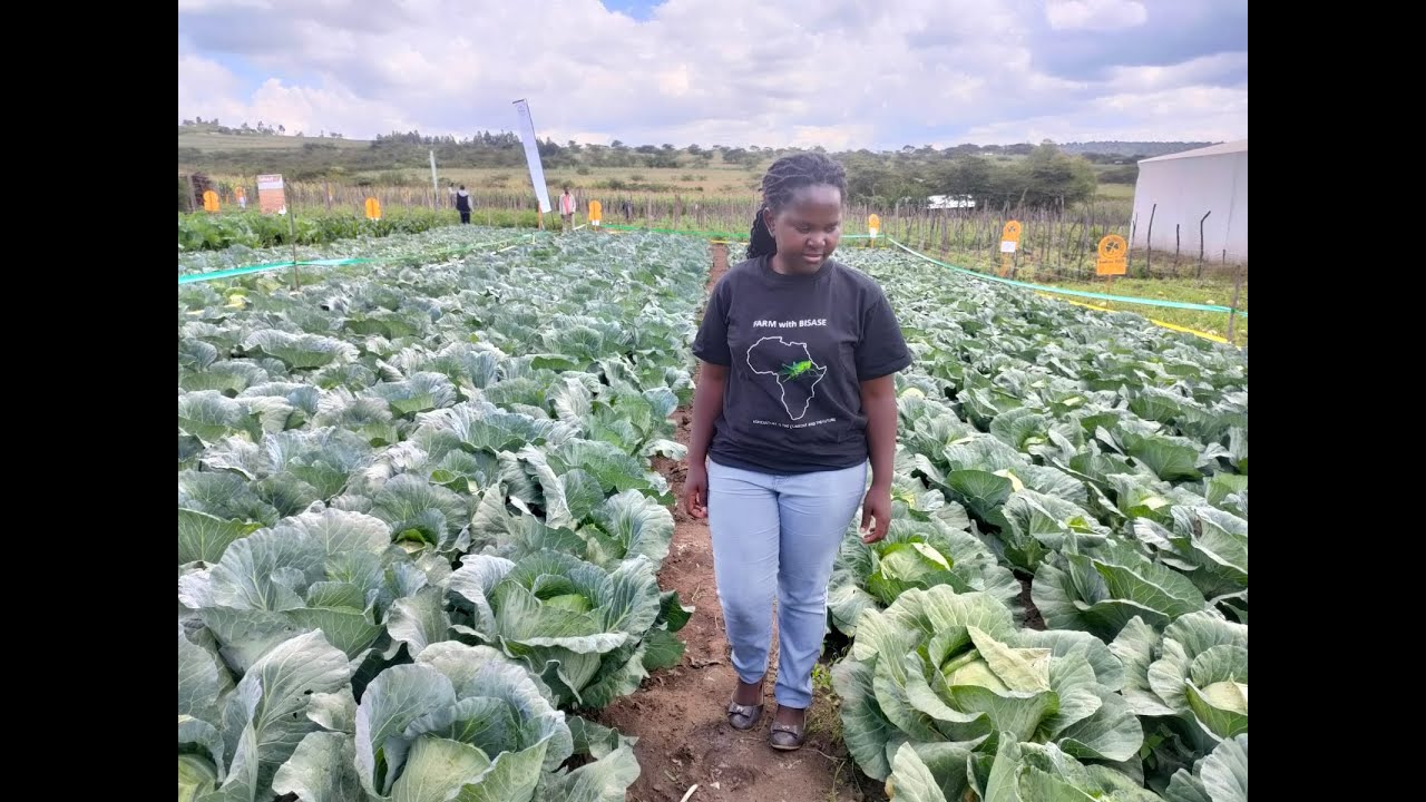 August 14, 2021 MAIZE FARMING NOT ME! HORTICULTURAL CROPS PAY ME
