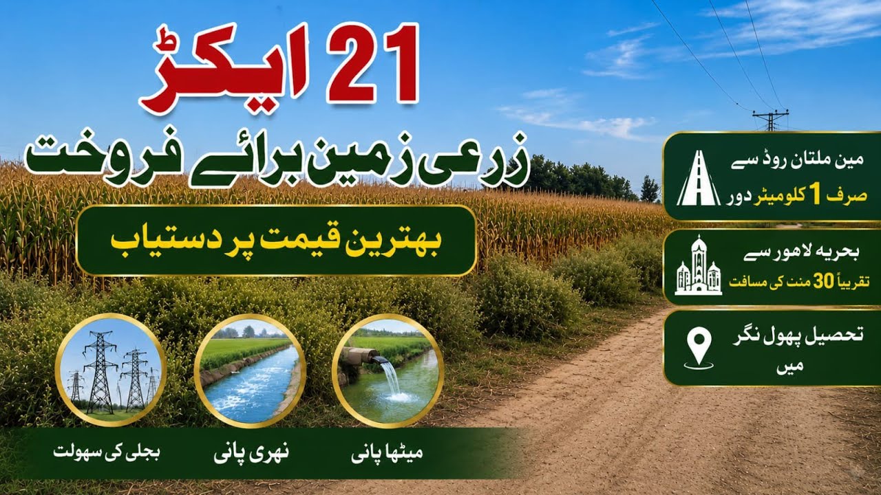 21-Acre Agricultural Land for Sale in Punjab, Pakistan | Affordable Price | Land for Sale | Ep 233