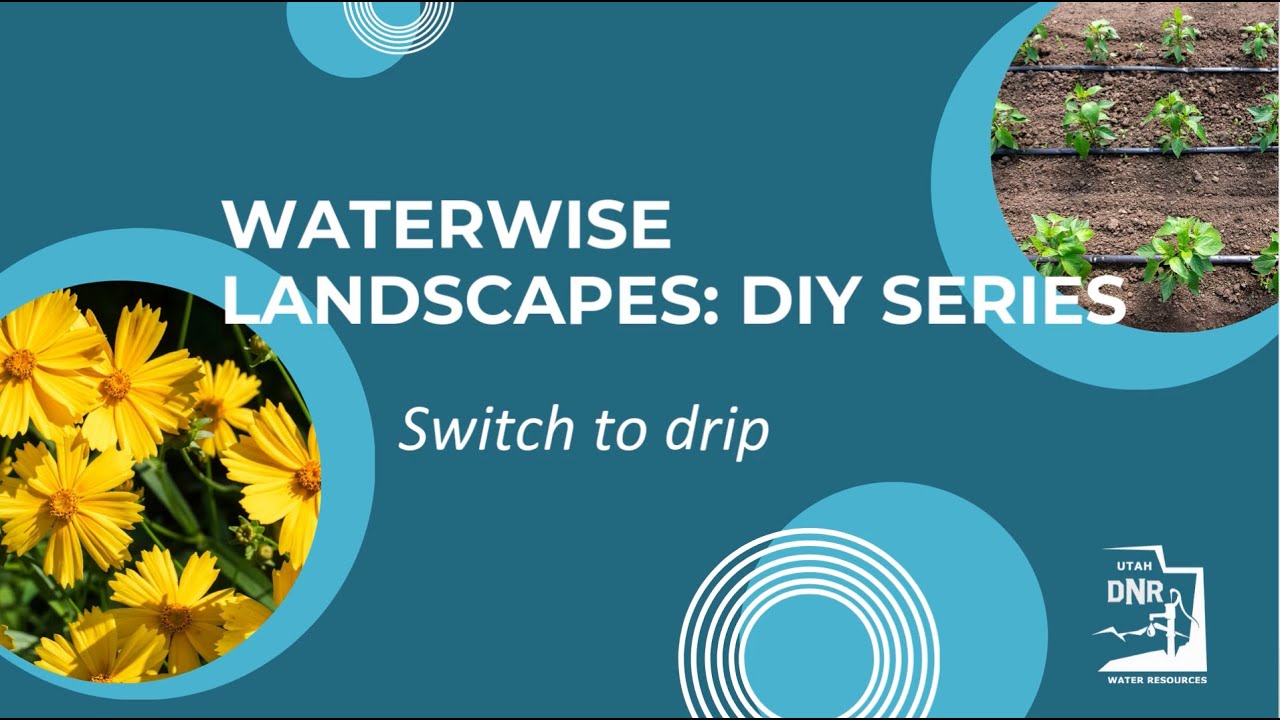 Waterwise Landscapes DIY Series: Switch to Drip