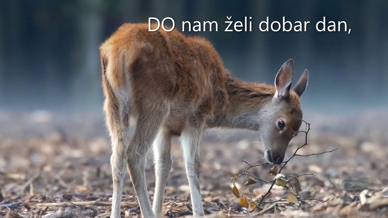 Do, re, mi - matrica s tekstom