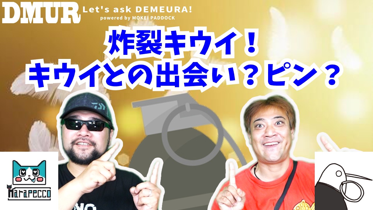 炸裂キウイ！キウイとの出会い？ピン？【でめうらに聞きたい！】#モケイパドック #でめちゃん #裏方さん #まりるん #キーウィ #鳥 #手榴弾 #グレネード #安全ピン #M26 #MK2