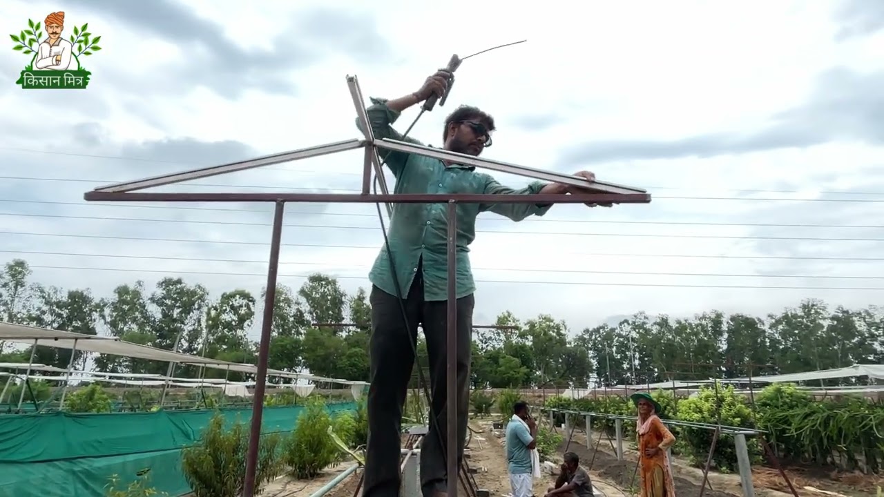 Making of Dragon Fruit Trellis system |Dragon fruit farming in Trellis |Part 2