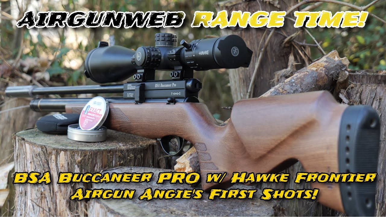 Пневматическая винтовка Airgun Angie стреляет из BSA Buccaneer Pro .177. Попадает ли она в цель? ...