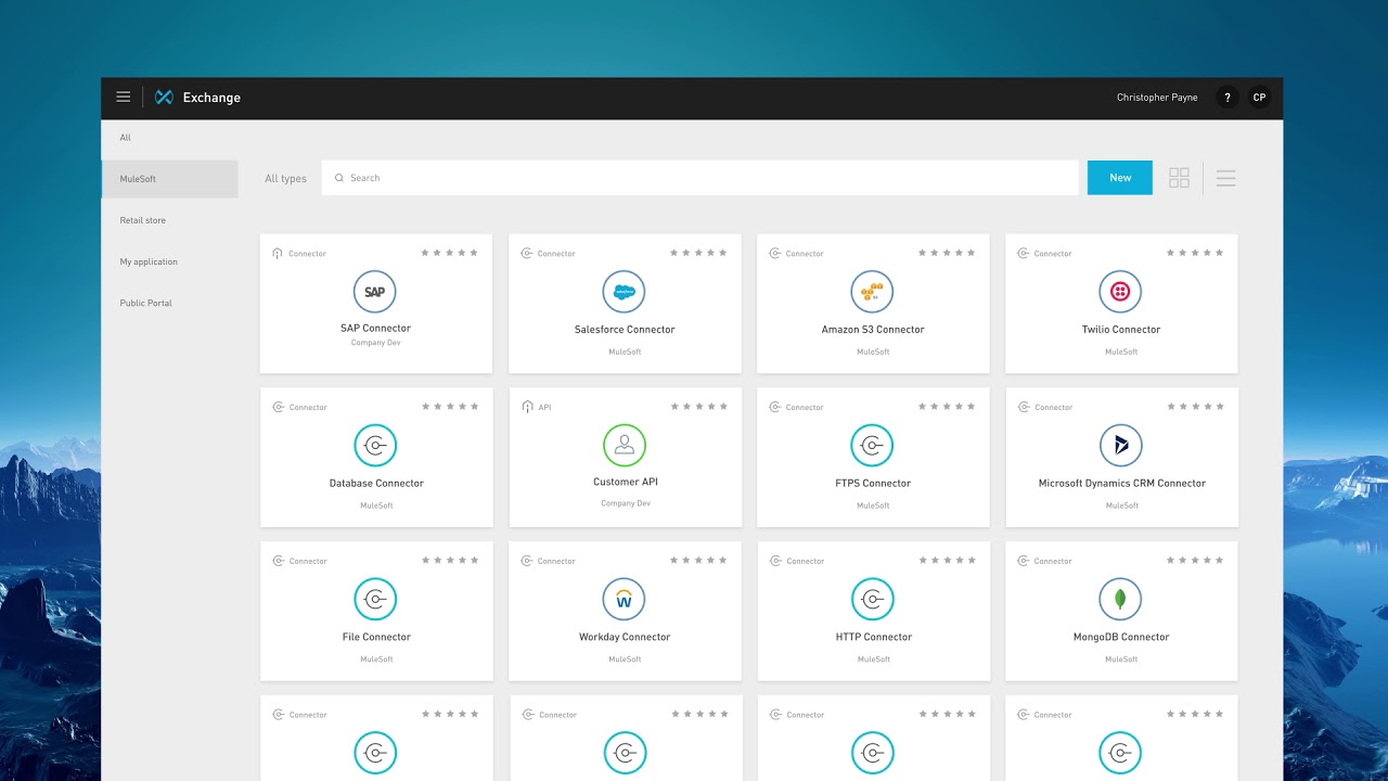 Anypoint Platform