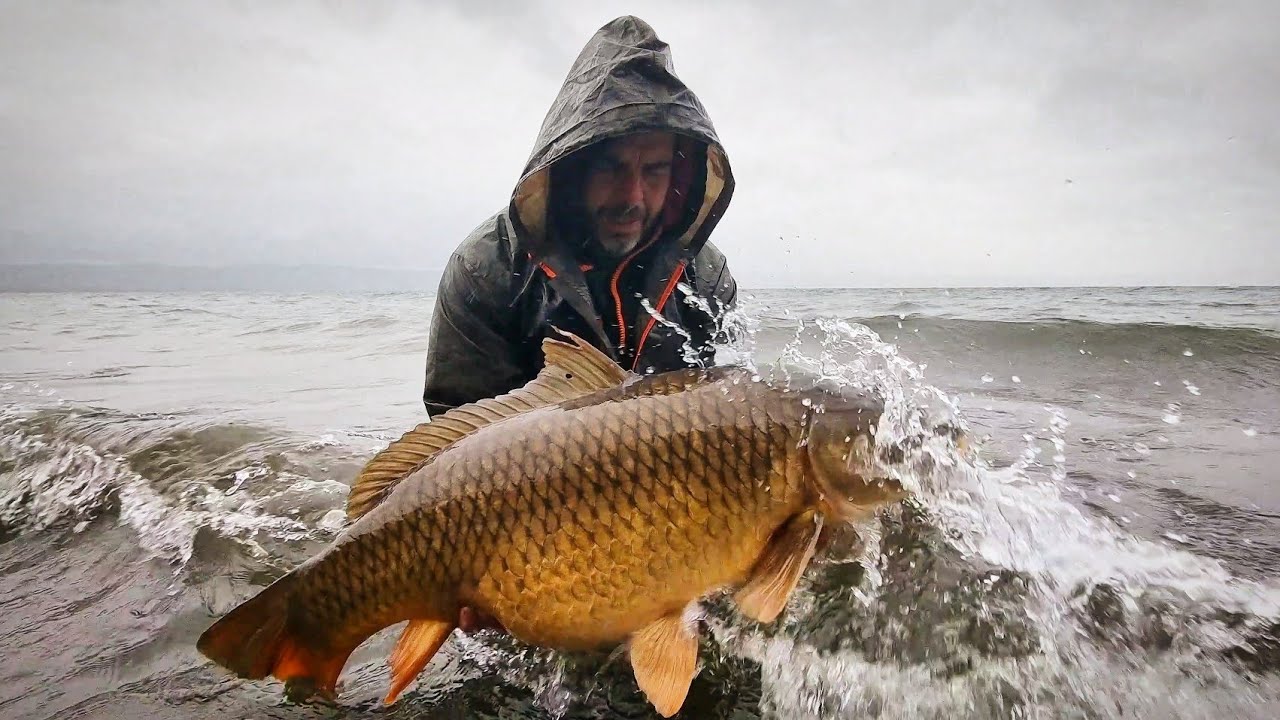 Carpfishing Lago di Bolsena....Dicembre 2021