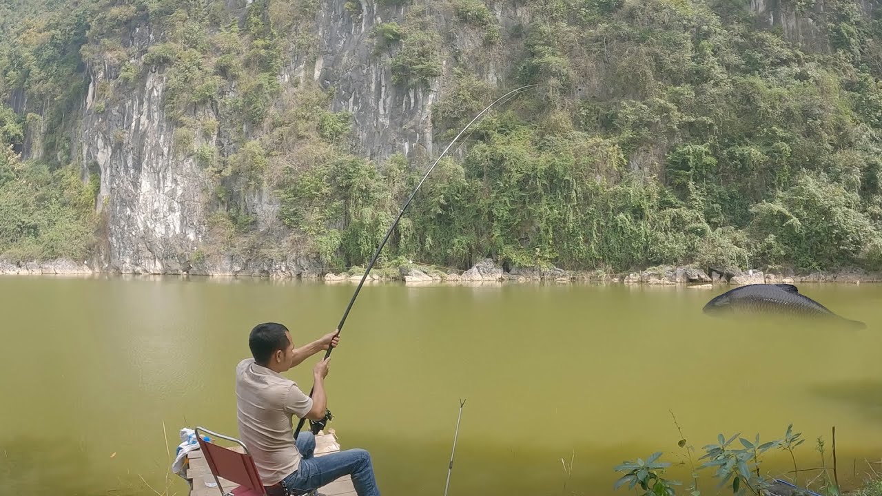Chạm Hàng Khủng Hồ Bán Tự Nhiên Mắc Gốc Đến 2 Lần