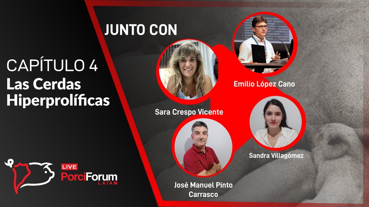 CAPÍTULO 4: Las Cerdas Hiperprolíficas