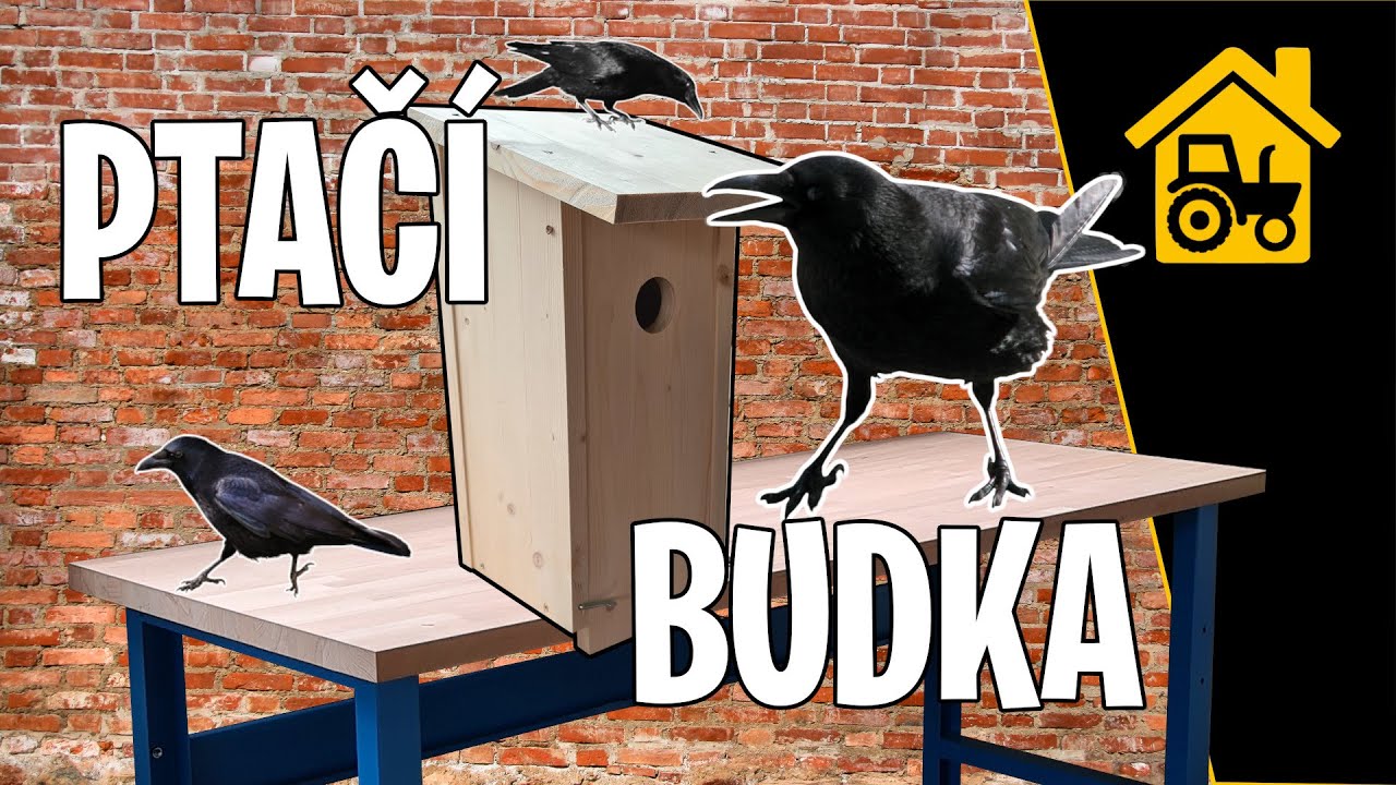 Hobby truhlařina | Jak vyrobit ptačí budku - ptačí budka ze dřeva