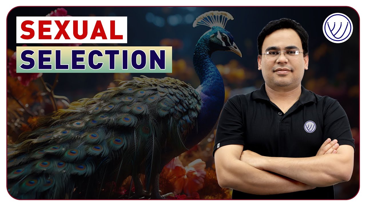 What is Sexual Selection? | Theory of Sexual Selection in Animal Behaviour | CSIR NET Life Science
