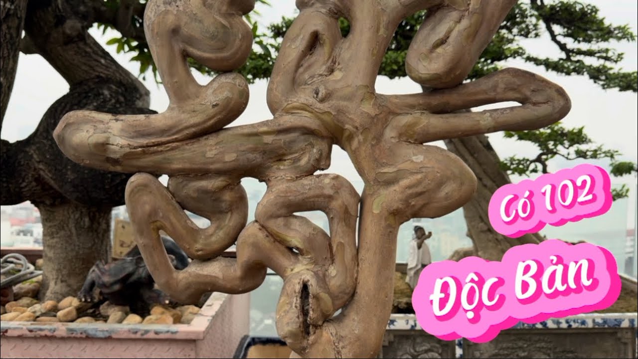 Xem vườn Ông Thọ nhựa hiểu cách chơi Độc Lạ khác biệt để thoả mãn đam mê