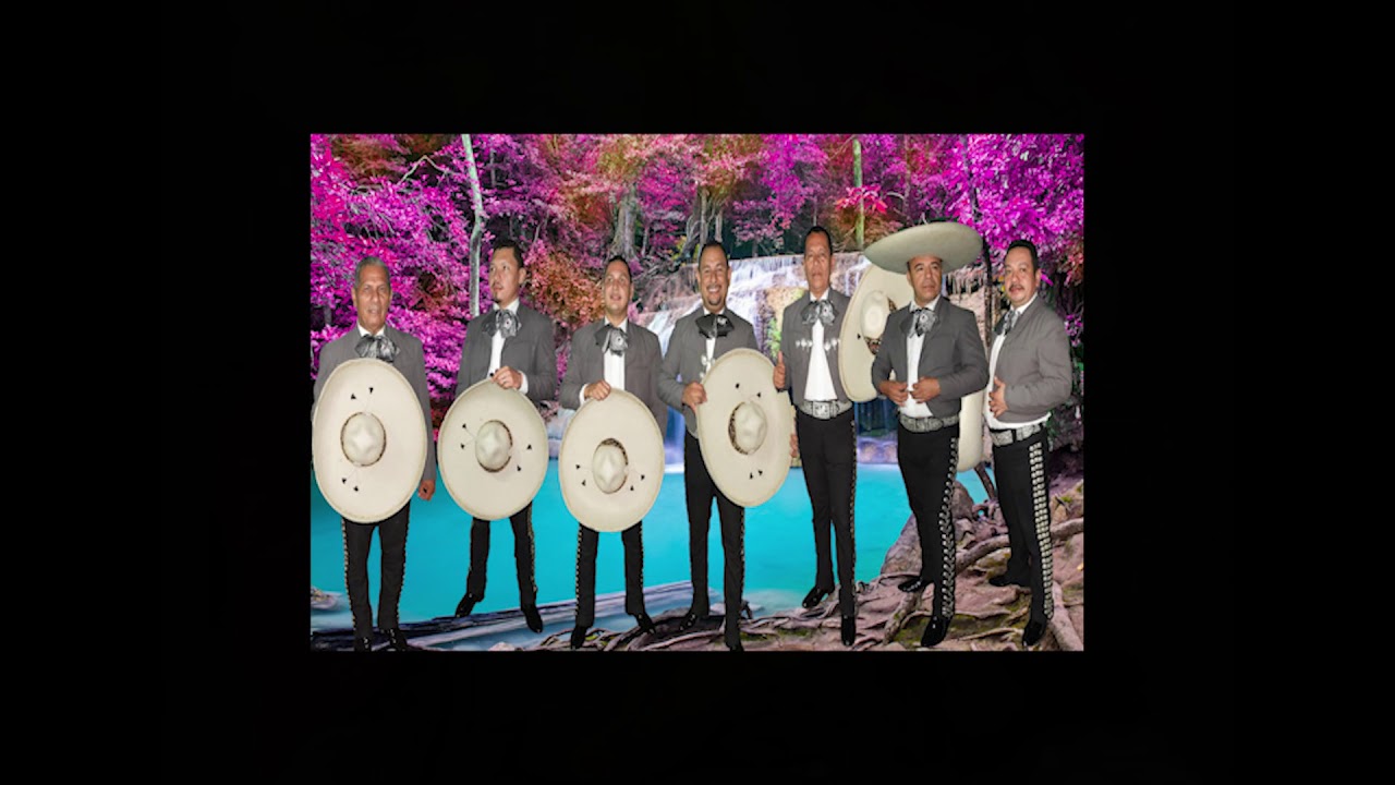 SALVE SALVE, Mariachi Sol de America de El salvador