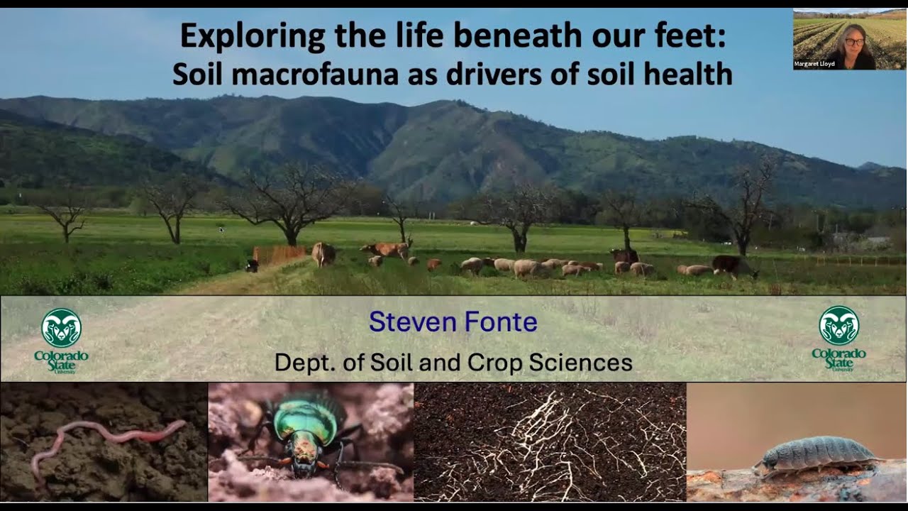 Exploring the life beneath our feet: Soil microfauna as drivers of soil health by Dr. Steven Fonte