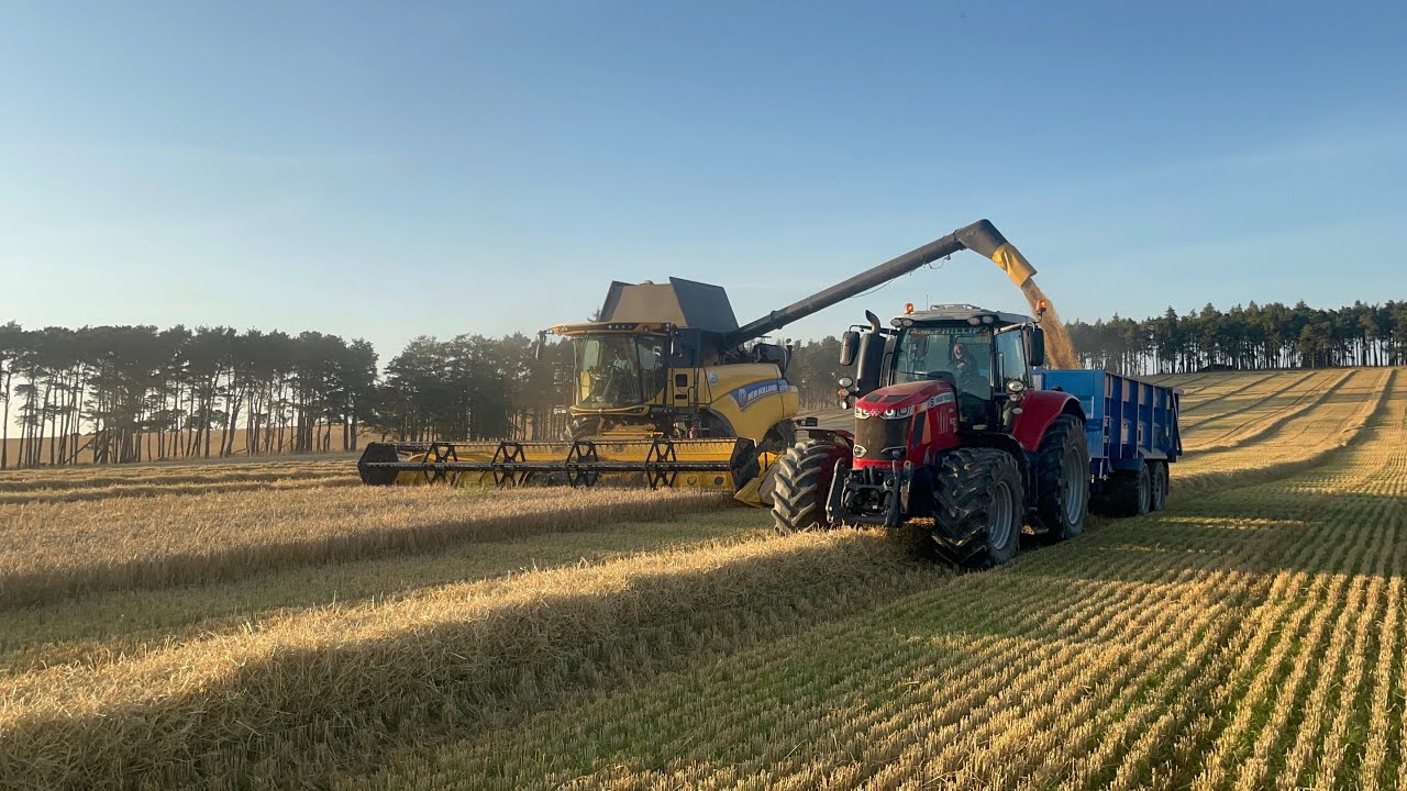 Harvest 2025!