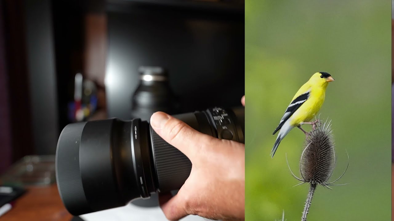 Tamron 150-500 VS Sigma 100- 400 Sony